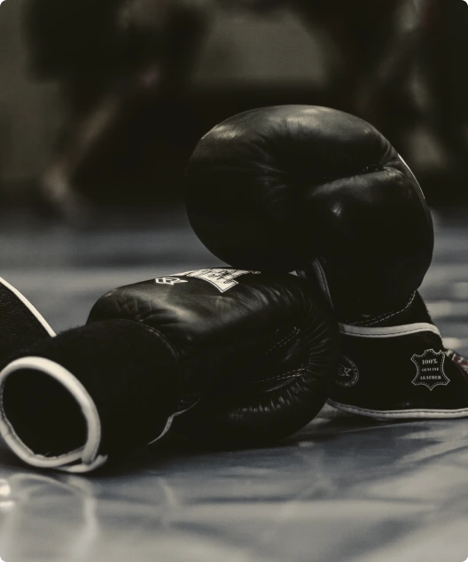 Two boxing gloves on the floor